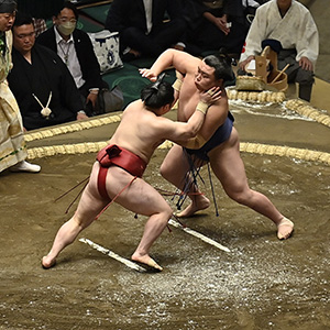 阪神 vs ヤクルト(2026年7月12日) プロ野球｜スポーツ情報はdメニュー