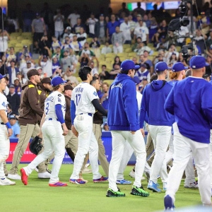 Jリーグ・カターレ富山・西矢 慎平 選手情報｜スポーツ情報はd