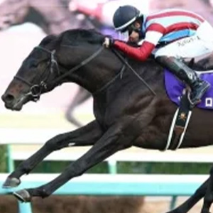 佐々岡真司＆西山秀二が語る「広島東洋カープ入団エピソード」と当時の