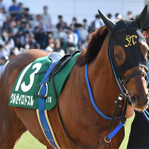 ワシントン・ナショナルズ 小笠原 慎之介 選手情報 MLB｜スポーツ情報