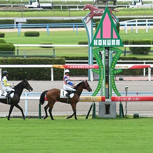 ツエーゲン金沢 山本 義道 選手情報 Jリーグ｜スポーツ情報はdメニュー