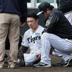 サンフレッチェ広島 新井 直人 選手情報 Jリーグ｜スポーツ情報はd